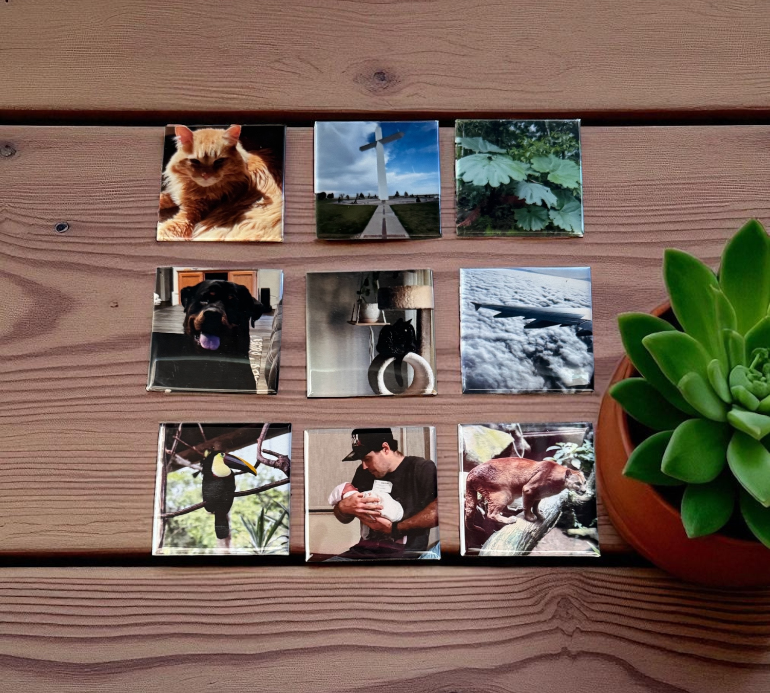 image comparison after